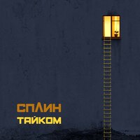 Альбом Сплин - Тайком