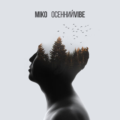 Постер песни Miko - Паста